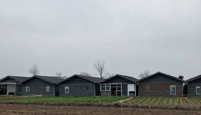 技术开发方案选型与使用维护的常见问题及处理建议